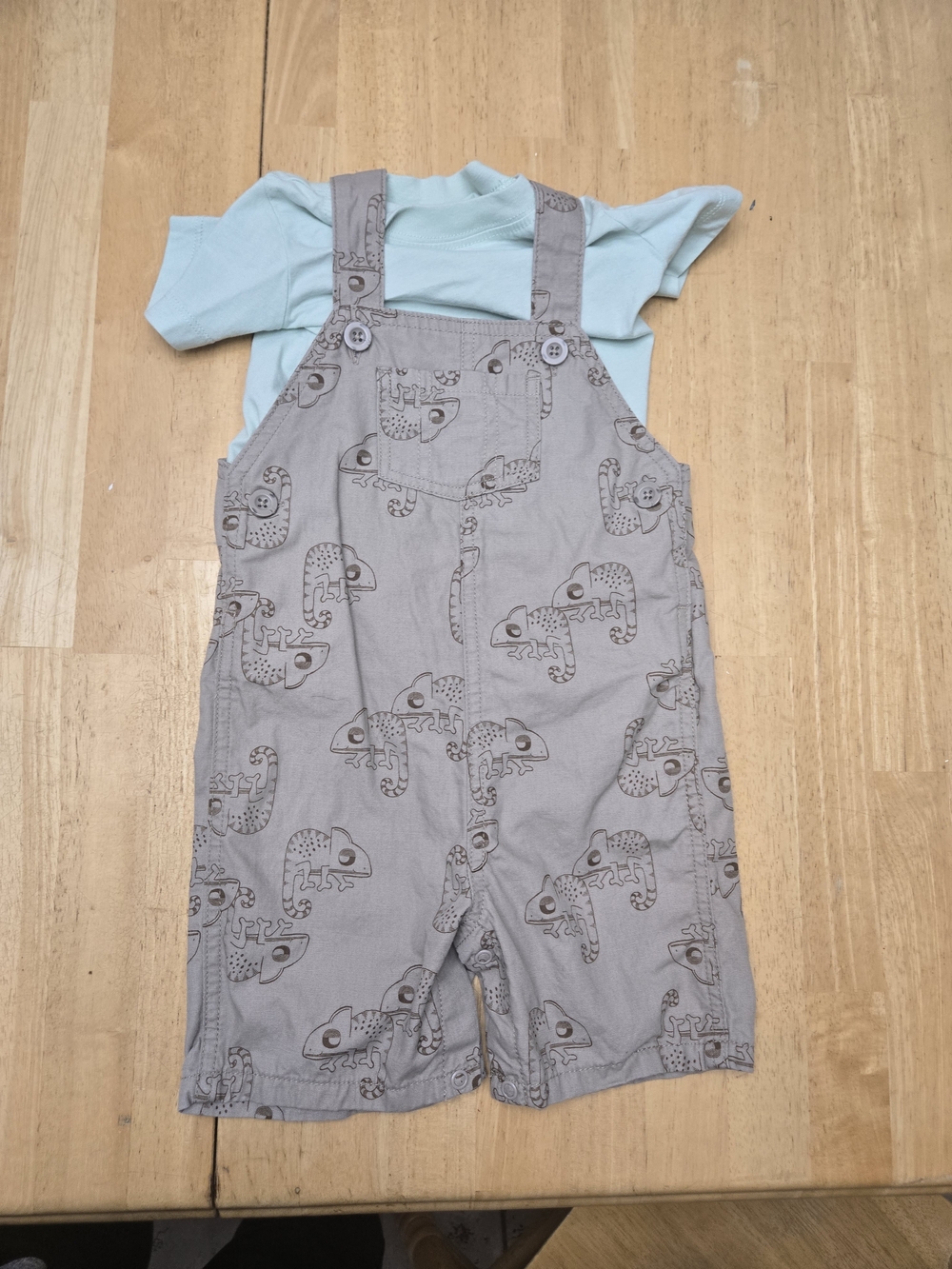 Carter's Gray Dino Print Overalls with Light Blue Tee